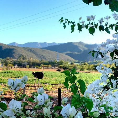 Berluda Farmhouse And Cottages Oudtshoorn Eksteriør bilde