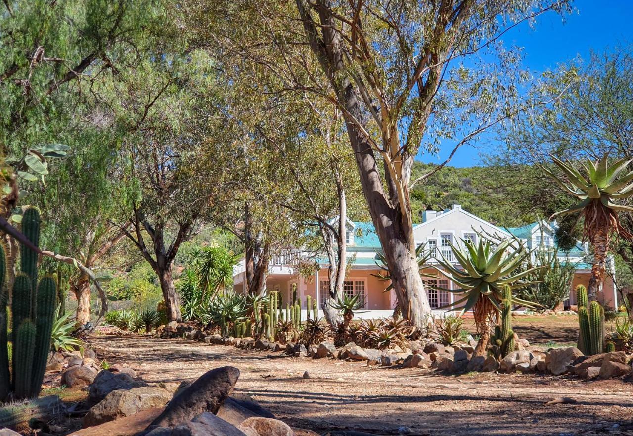 Berluda Farmhouse And Cottages Oudtshoorn Eksteriør bilde